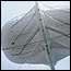 High-Altitude Wind Machines Could Power New York City