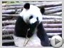 Cool New Videos