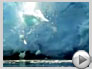 Cool New Videos