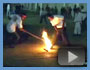 Cool New Videos