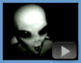 Cool New Videos