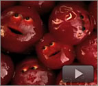Cranberry Massacre