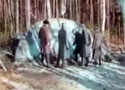 More Video 1