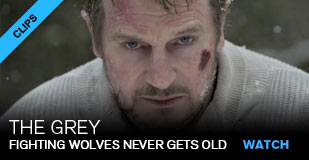The Grey: Fighting wolves never gets old