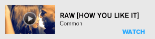Raw [How You Like It] - Common